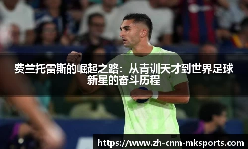 mk体育官方网站